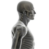 Zu den Inhalten von Modul 4