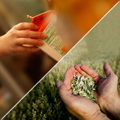 Zu den Inhalten von Modul 8