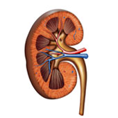 Zu den Inhalten von Modul 6